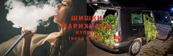гидра Горно-Алтайск