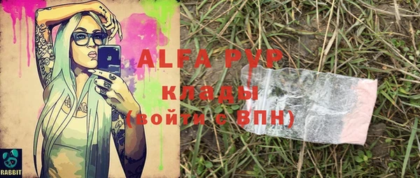 гидра Горно-Алтайск