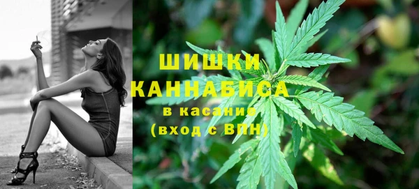 метадон Горнозаводск