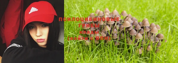 метадон Горнозаводск