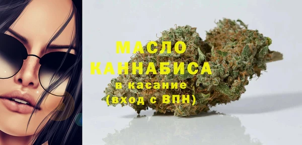 гидра Горно-Алтайск